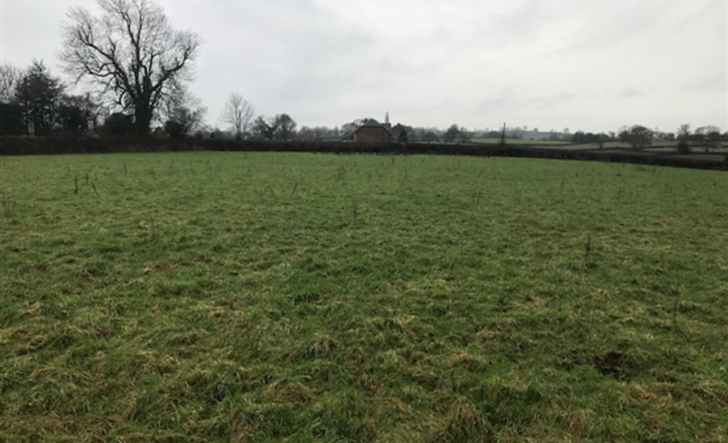 Development Land at Arddleen, Powys, SY22 Roger Parry & Partners