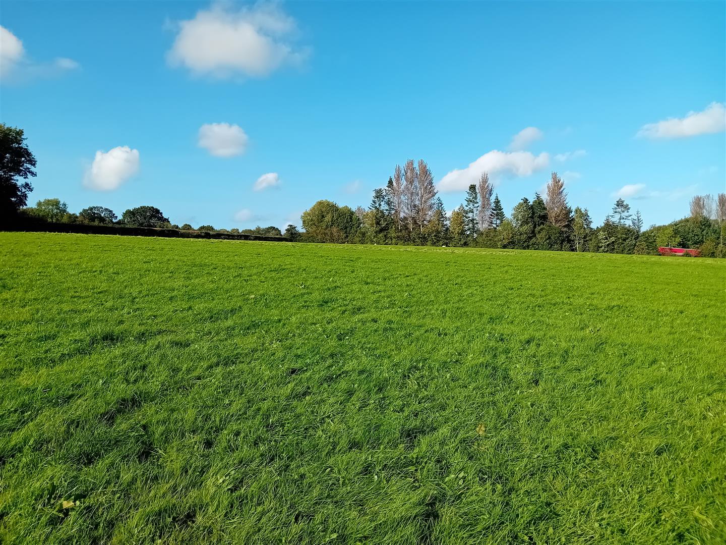 Land formerly known as Little Tasker Land, White Gritt Roger Parry