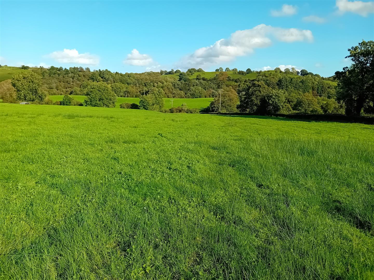 Land formerly known as Little Tasker Land, White Gritt Roger Parry