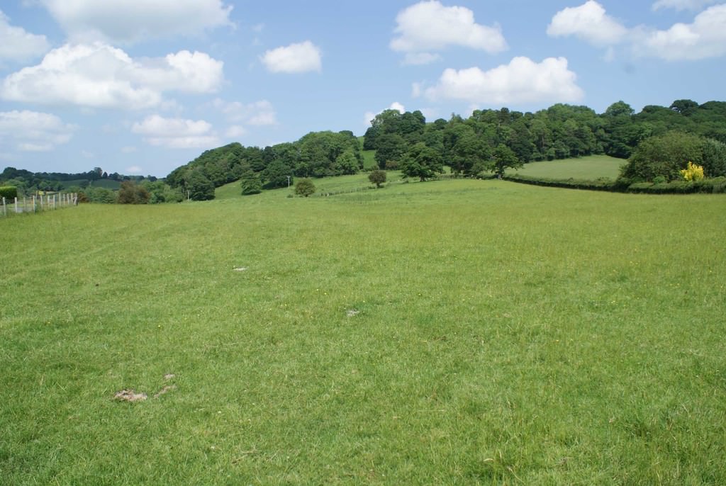 Tregynon, Newtown Roger Parry & Partners