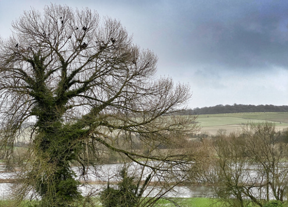 Flood