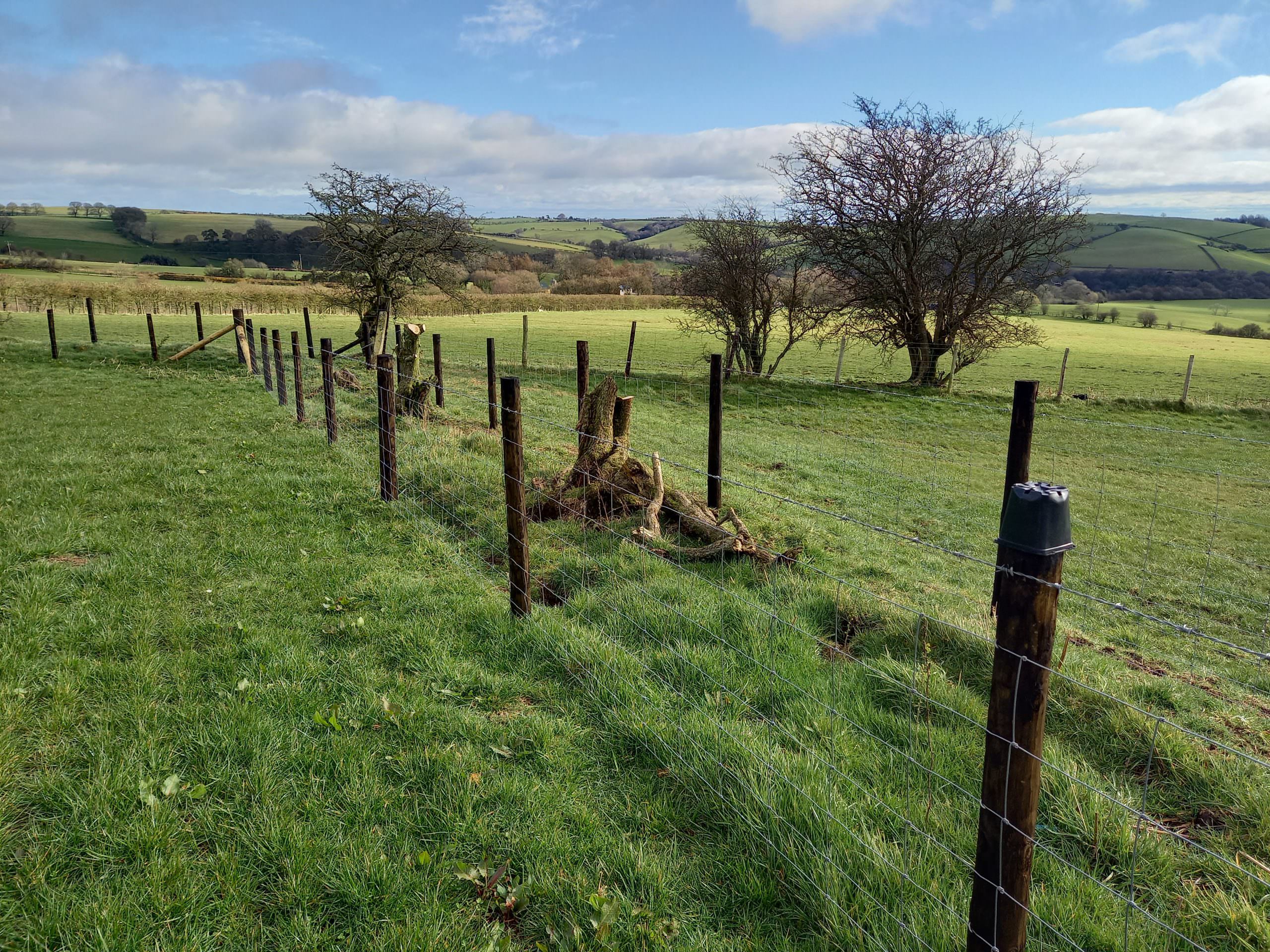 Farm, near Welshpool Roger Parry & Partners