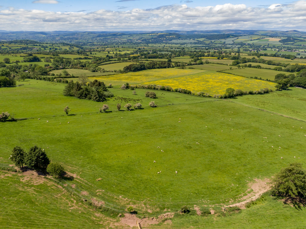 Abdon, Ditton Priors Roger Parry & Partners