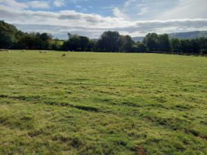 Land adjacent to Little Hurdley, Churchstoke