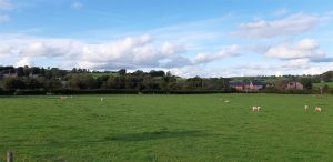 Plot 3, Tregynon, Newtown