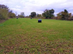 Lot 2 – Land at Crew Green