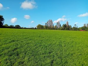Land formerly known as Little Tasker Land, White Gritt