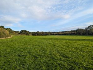 Minsterley Meadows, Callow Lane, Shrewsbury