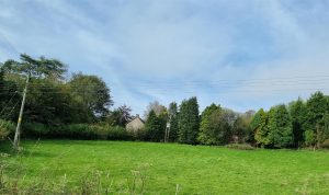 Residential Development Site at Land Adjacent Llety Piod, Foel, Welshpool