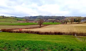 Land Adjacent Green Lane, Abermule