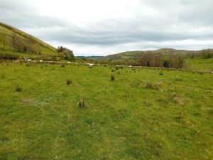 Talerddig, Llanbrynmair
