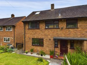 Mount Pleasant, Middletown, Welshpool