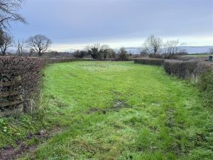 Paddock at Paddock Lane, Rowton, Shrewsbury