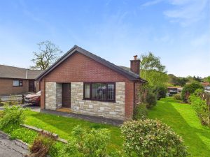 Maes Y Dderwen, Llanbrynmair