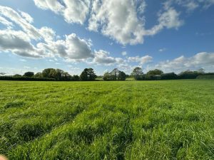 90 acres of Land at Greenhill Farm, Ellesmere, Shropshire, SY12 9EZ