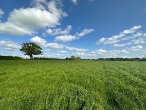 90 acres of Land at Greenhill Farm, Ellesmere, Shropshire, SY12 9EZ