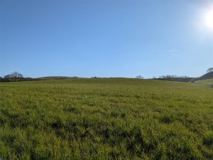 Land at Betchcott, Church Stretton