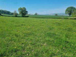 Lot 2 – 4.14 acres of Land adjoining Little Grimmer, Minsterley, Shrewsbury, SY5 0DP