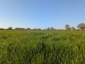 Land at Marton Lane, Weston Lullingfields