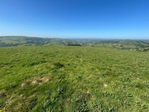 Land known as Manafon-gaenog, Castle Caereinion, Welshpool