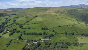 Fron Heulog, Hirnant, Penybontfawr