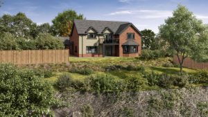 Ty Bedw, Maes Y Rhiw, Berriew, Welshpool