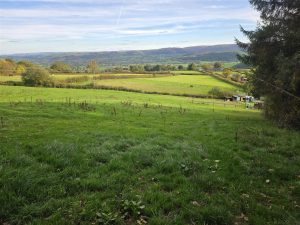 Land lying to the north of Waen Fach, Caersws, Powys, SY17 5QP
