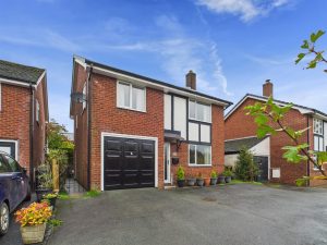 Maes Gwyn, Llanfair Caereinion, Welshpool